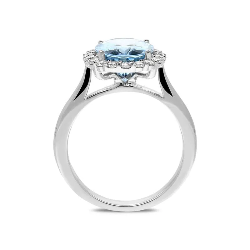 18ct White Gold 3.13ct Aquamarine 0.42ct Diamond Halo Ring