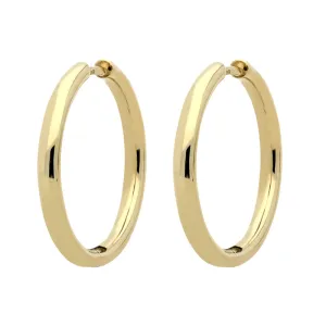9ct Yellow Gold Polished Hoop Earrings
