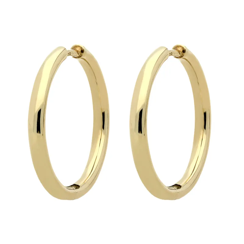9ct Yellow Gold Polished Hoop Earrings
