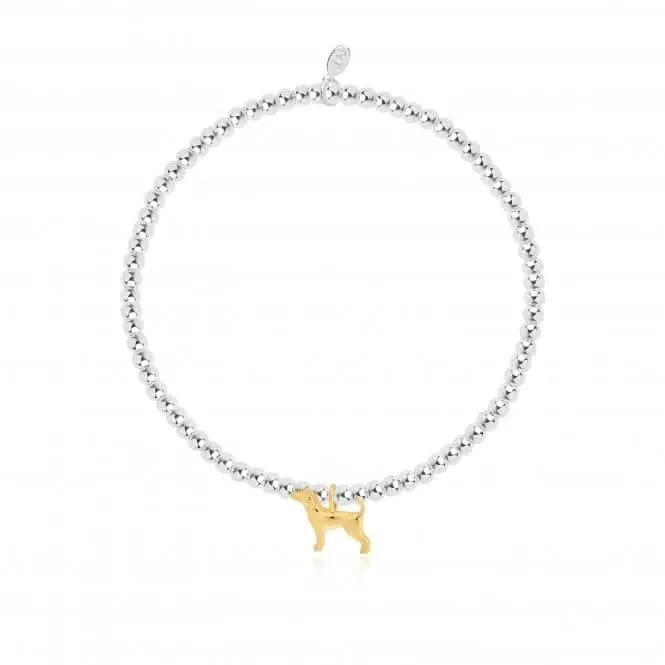 A Little Labradorable Silver 17.5cm Stretch Bracelet 4300