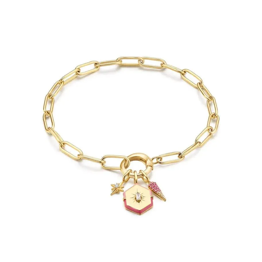Ania Haie Gold Ombr Pink Charm NC048-29G