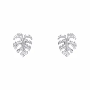 Beginnings Sterling Silver Earrings E6499