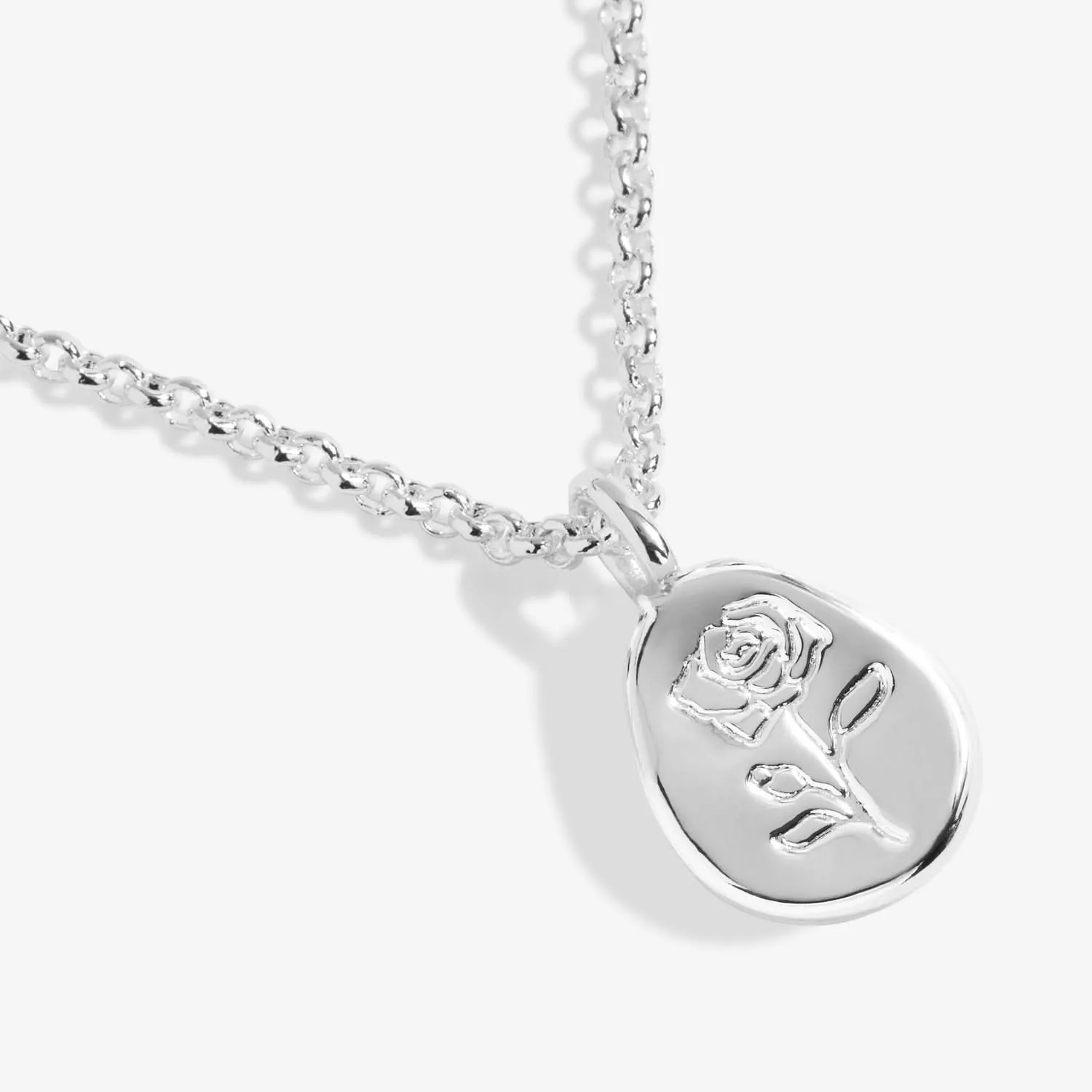Birth Flower A Little June Rose Silver Plated Necklace 7464