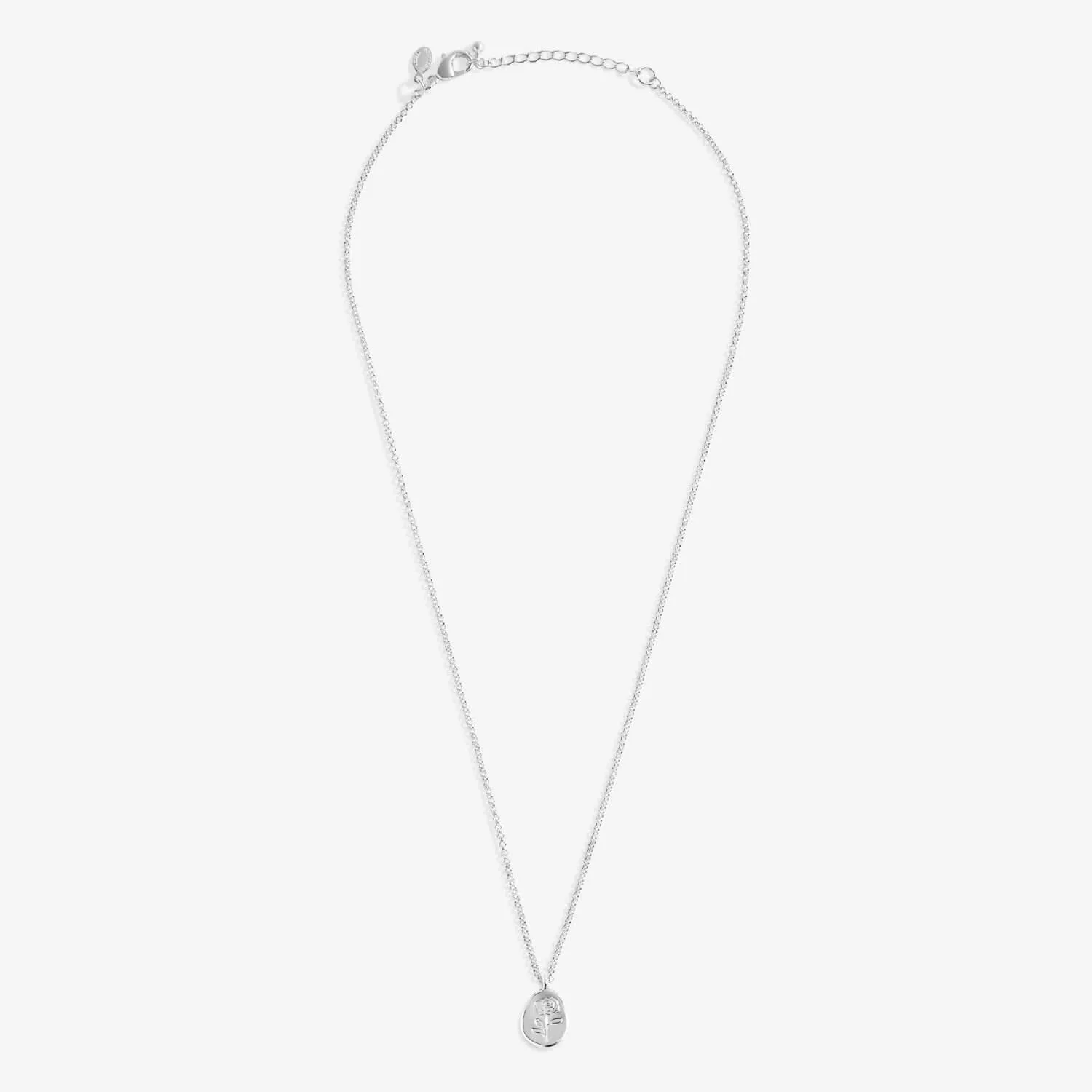 Birth Flower A Little June Rose Silver Plated Necklace 7464