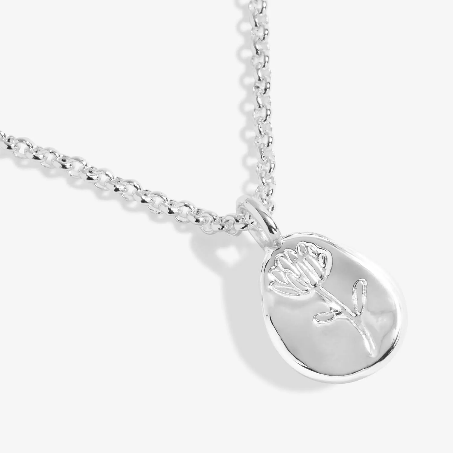 Birth Flower A Little September Aster Silver Plated Necklace 7467