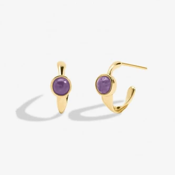Birthstone Hoop Earring February Gold Plated Earrings 6748
