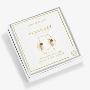 Birthstone Hoop Earring February Gold Plated Earrings 6748