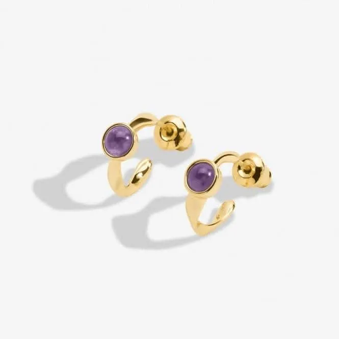 Birthstone Hoop Earring February Gold Plated Earrings 6748