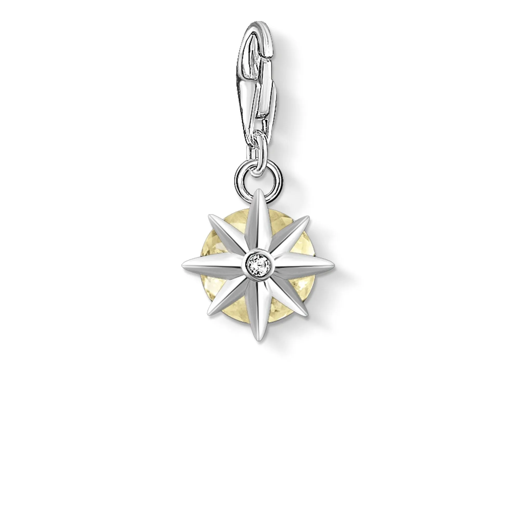 Charm Pendant Birth Stone November