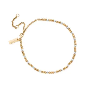 Chlobo Mixed Metal Gold Plated and Silver Dainty Mini Disc Pumpkin Anklet