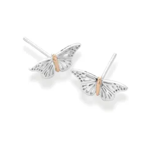 Clogau Butterfly Sterling Silver Stud Earrings