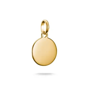 Connect Charm coin Gold