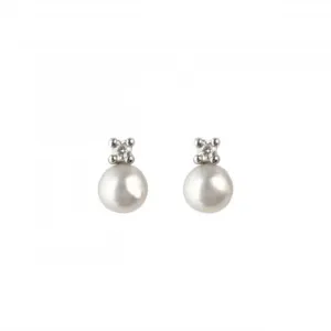 Single White Freshwater 4mm Pearl Zirconia Stud Earrings 3352FPC