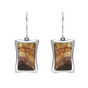 Sterling Silver Blue John Abstract Oblong Hook Drop Earrings