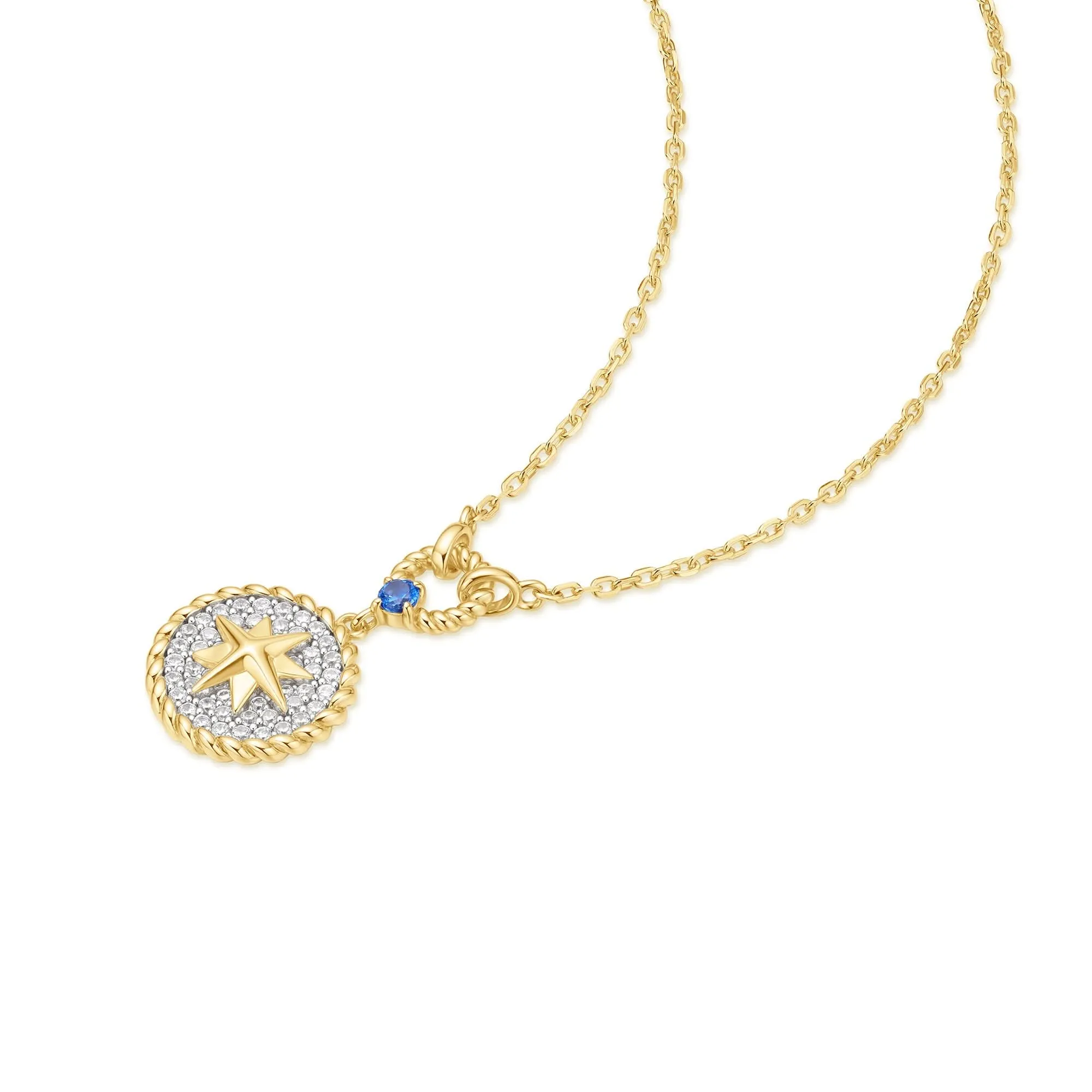 Two-Tone Eight-Pointed Star Signet Necklace N063-05T